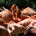 Aves Migratorias en el Parque Nacional de Doñana